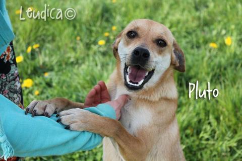 Pluto!